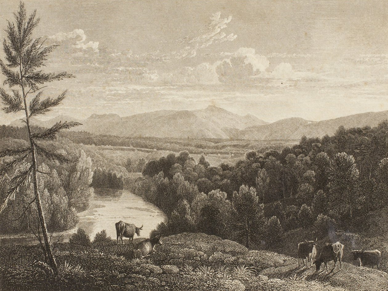 Catskill Mountains door Asher Brown Durand