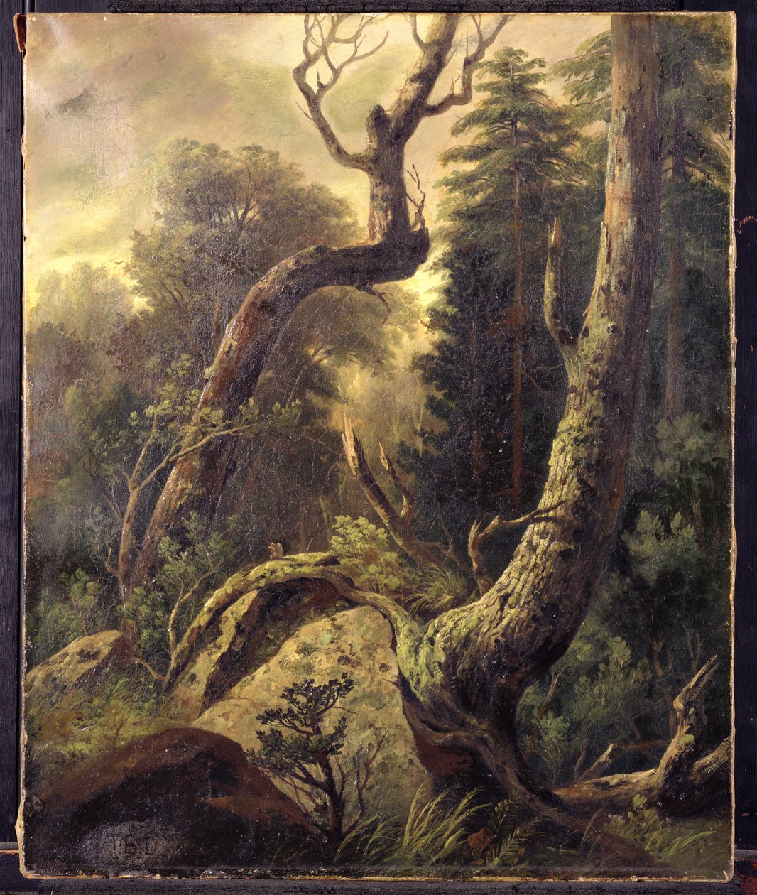 Boslandschap door Asher Brown Durand