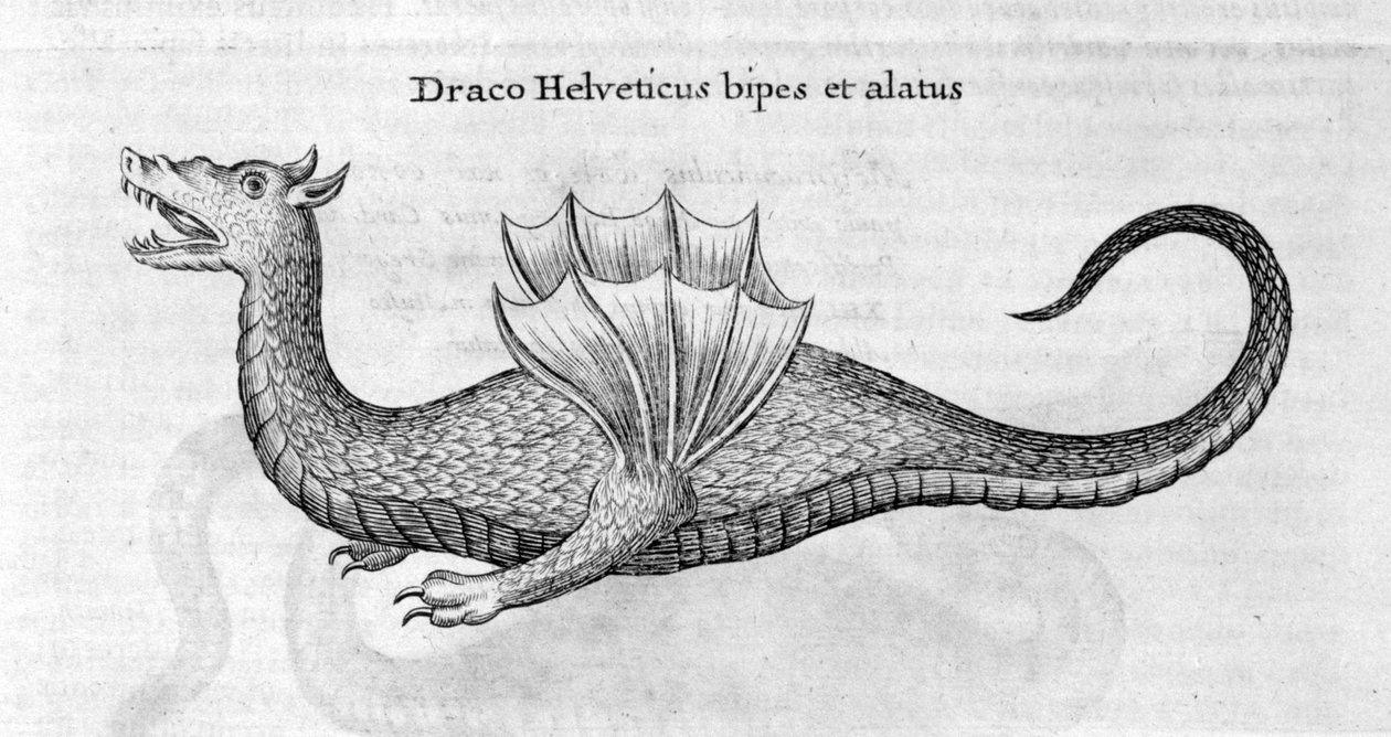 Draak, 1678 door Athanasius Kircher