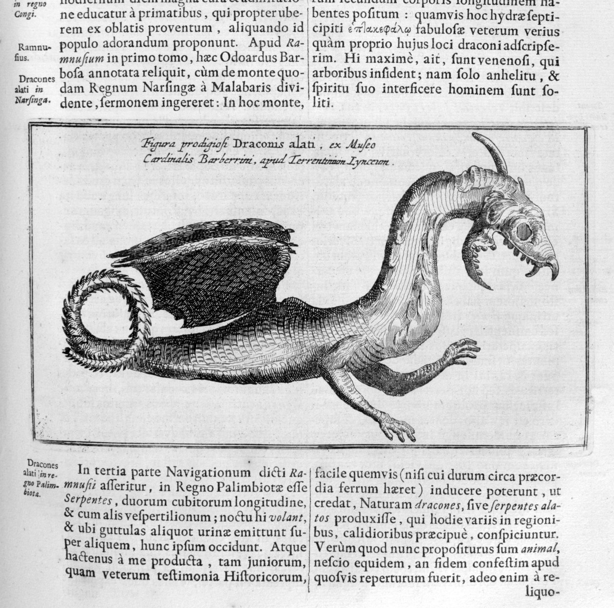 Draak, 1678 door Athanasius Kircher