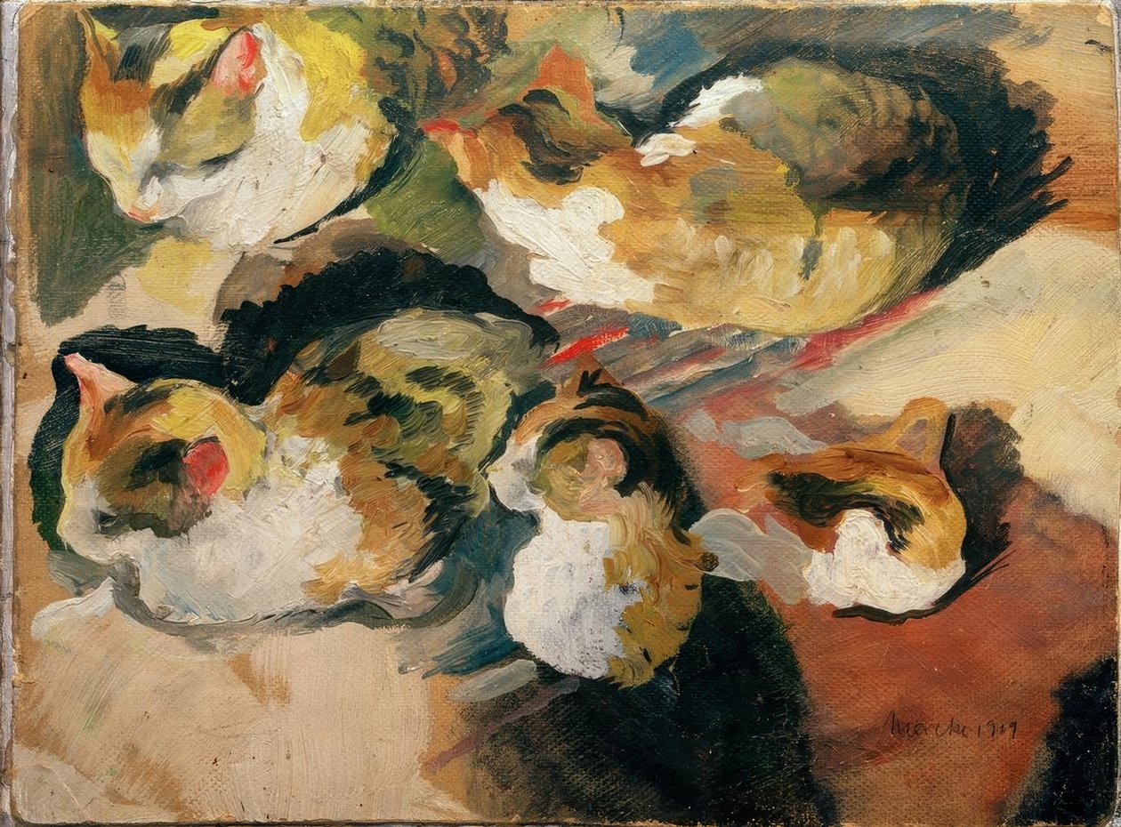 Kattenstudies door August Macke