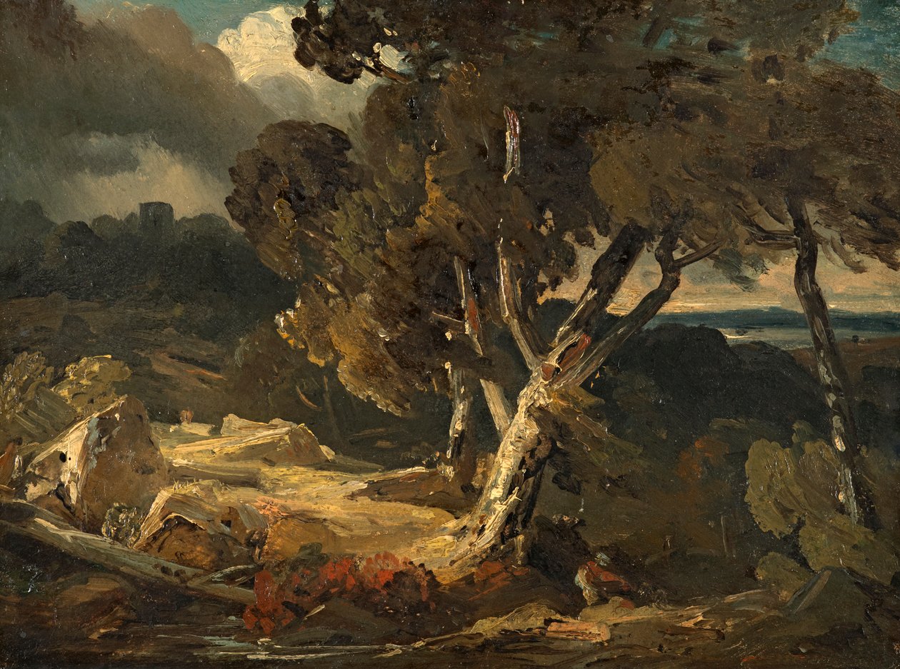 Stormlandschap door August Seidel