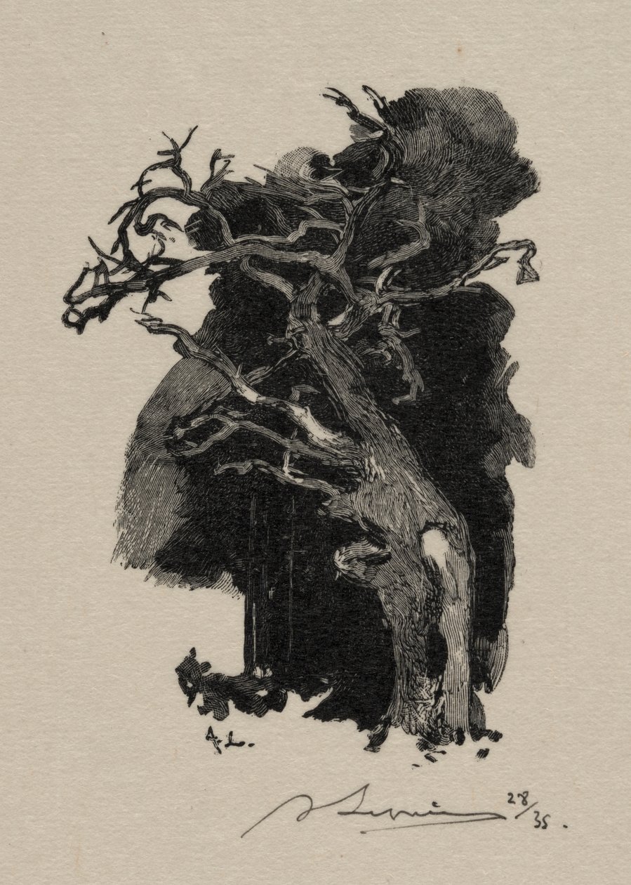 De woedende door Auguste Louis Lepère