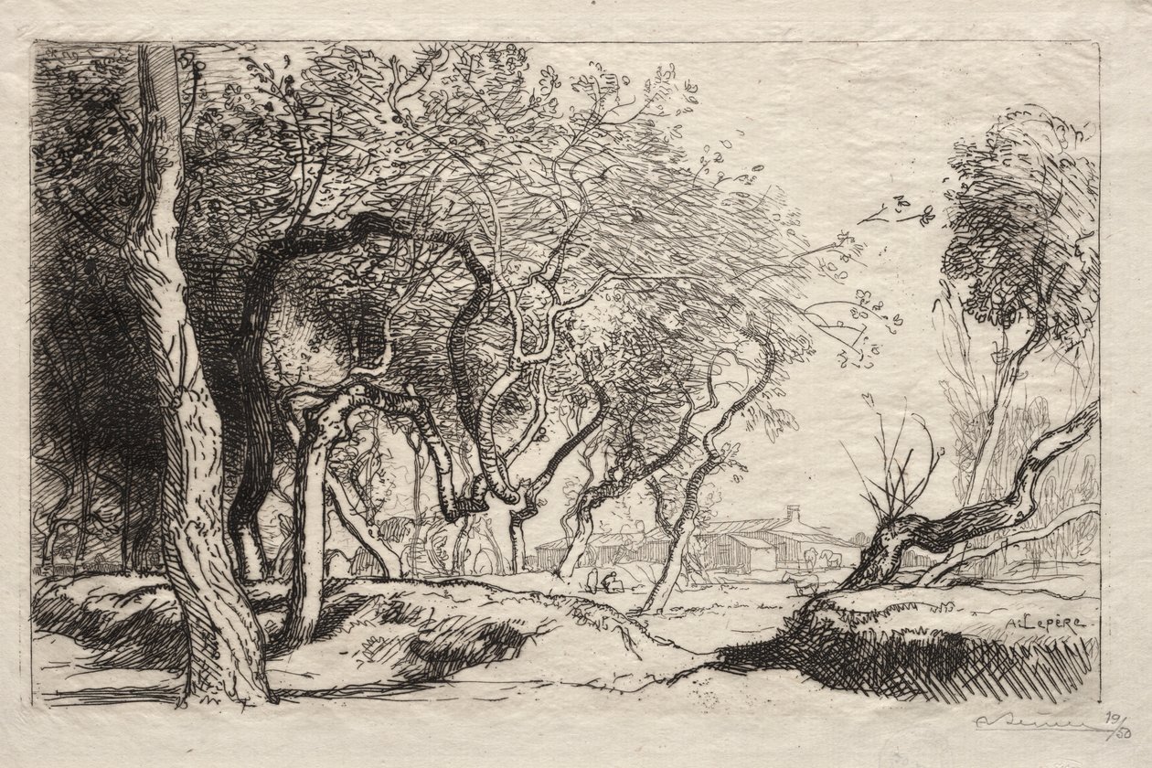 De Gedraaide Boom, 1915 door Auguste Louis Lepère