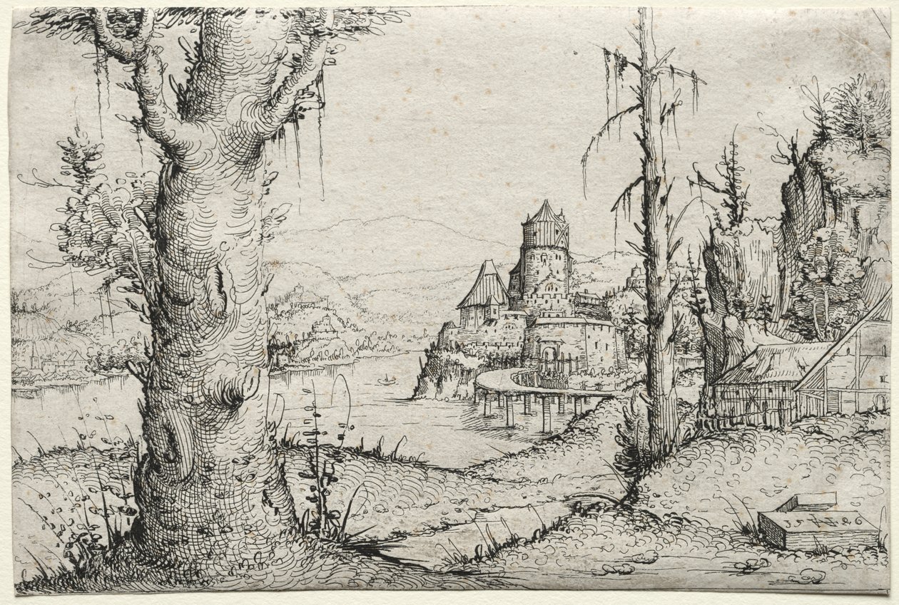 Rivierlandschap met grote boom links door Augustin Hirschvogel