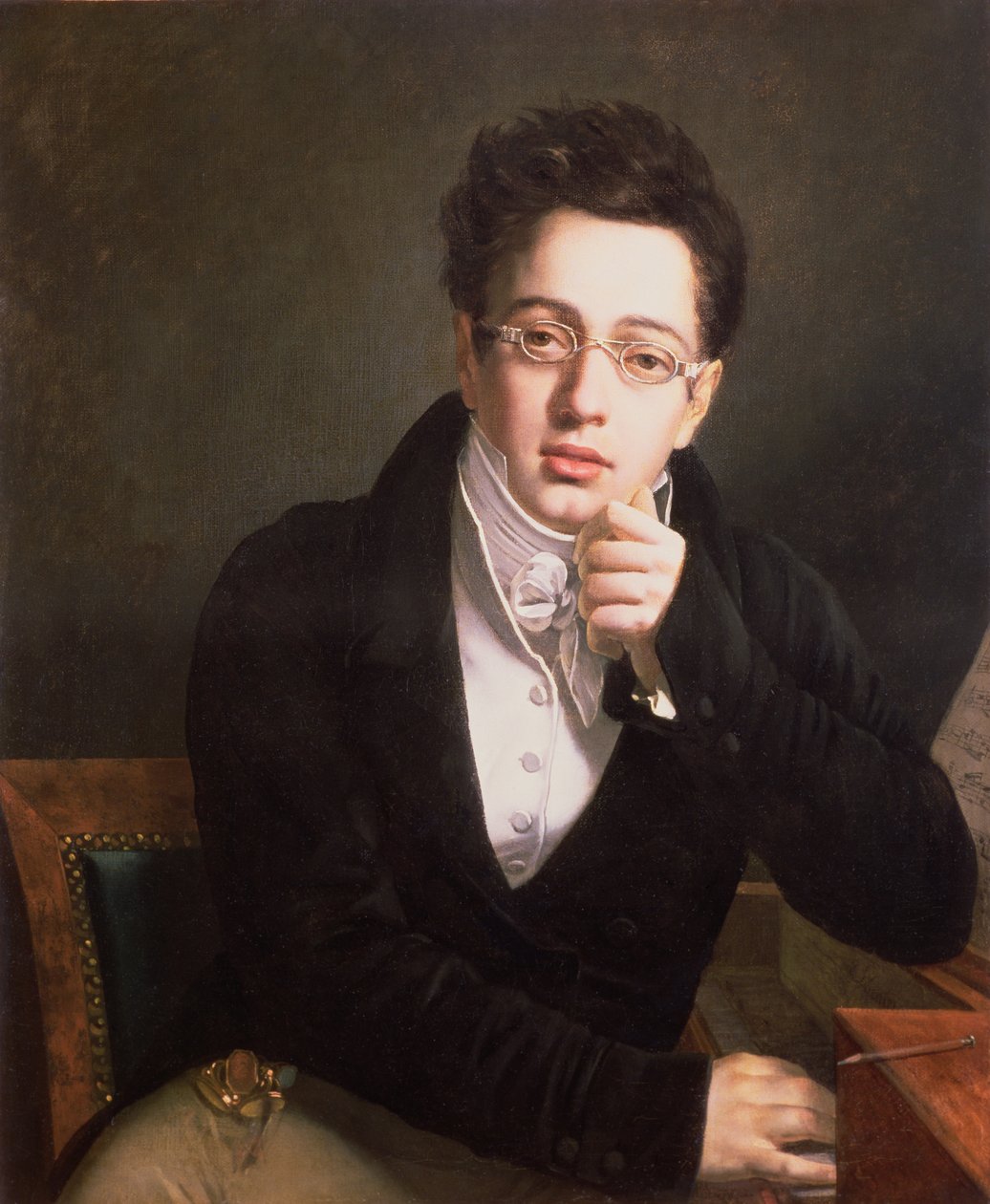 Portret van Franz Schubert (1797-1828), Oostenrijkse componist, 17 jaar oud, ca.1814 door Austrian School