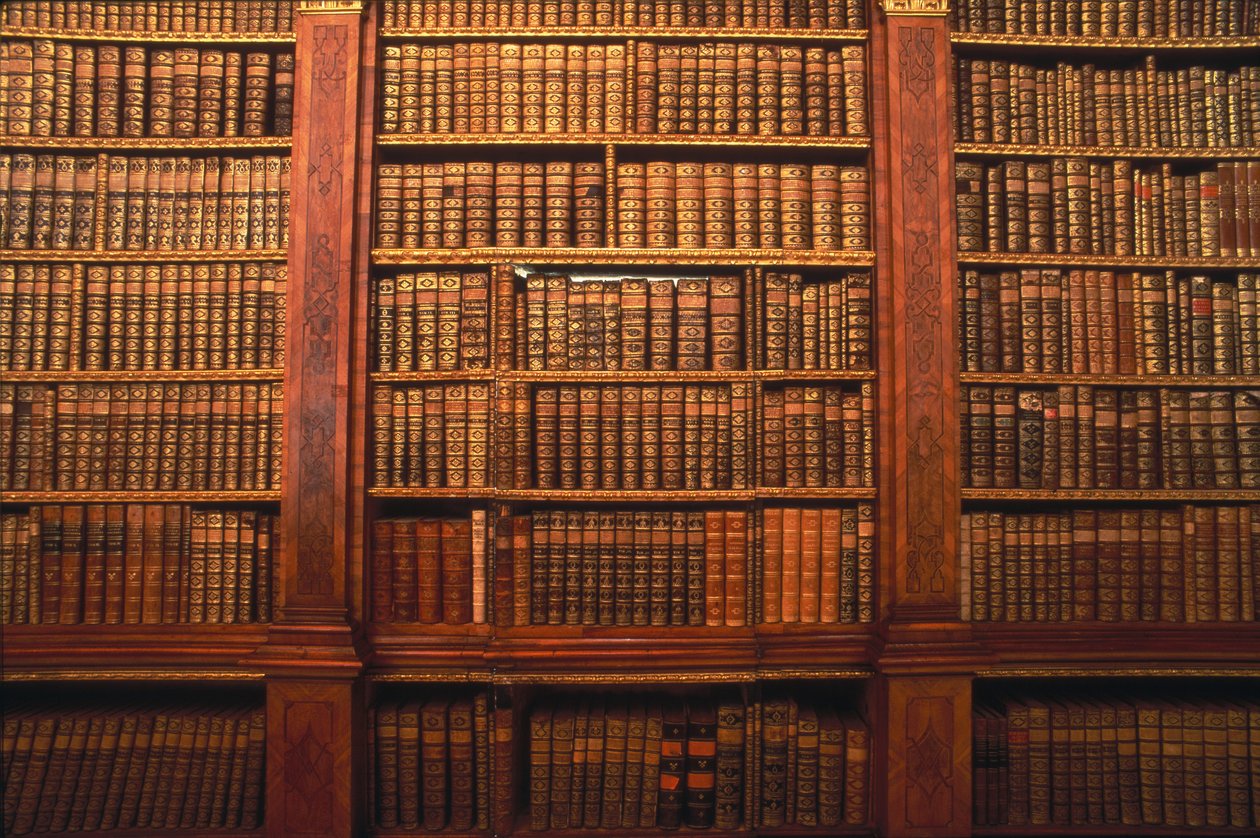 Boekenkast door Austrian School