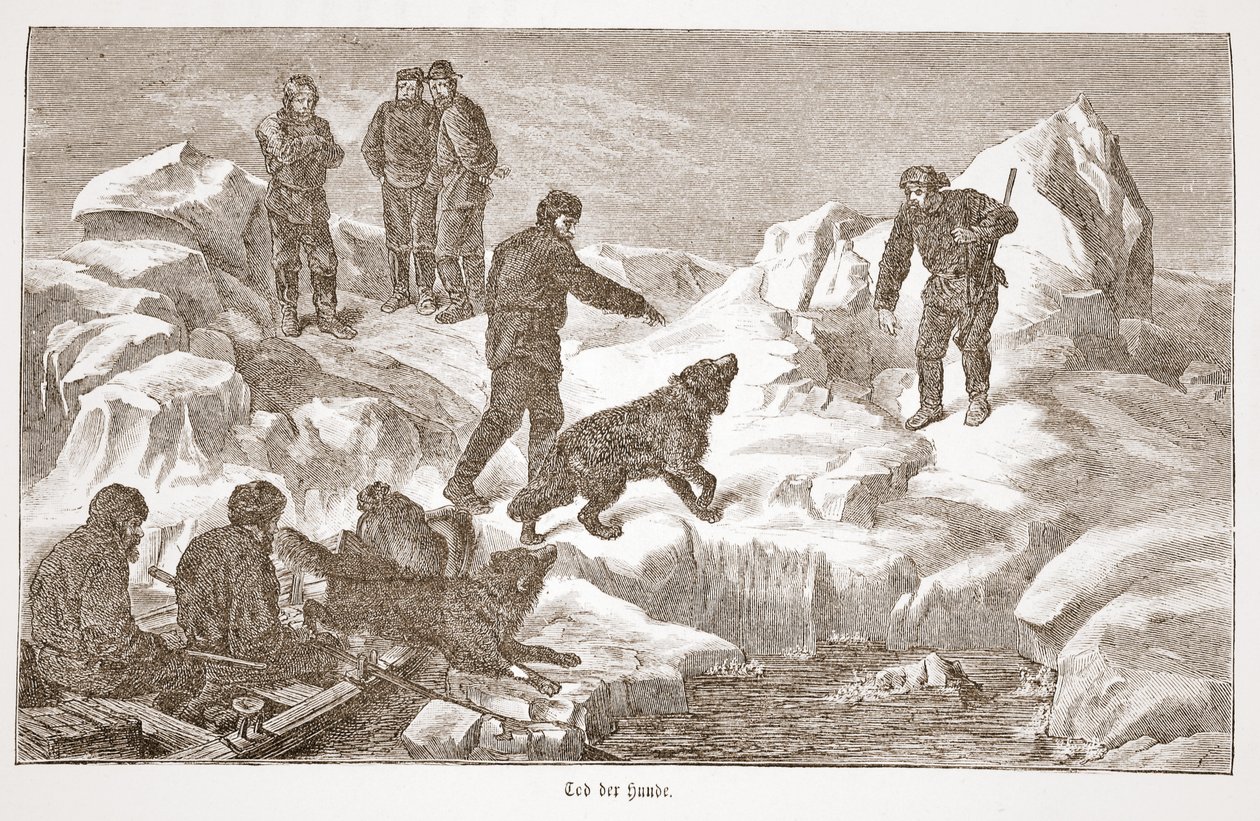 Jagen met honden, 1876 door Austrian School