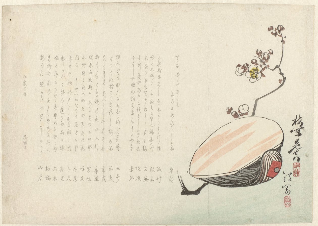 Schelp door Ayaoka Yûshin
