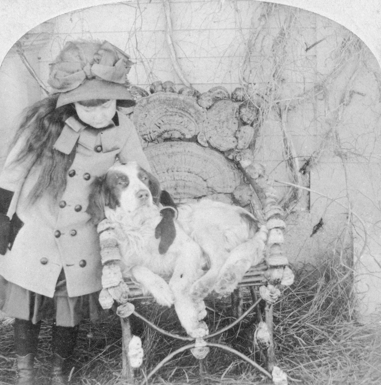 Kun je niet praten, Jack, 1882 door B. W. Kilburn