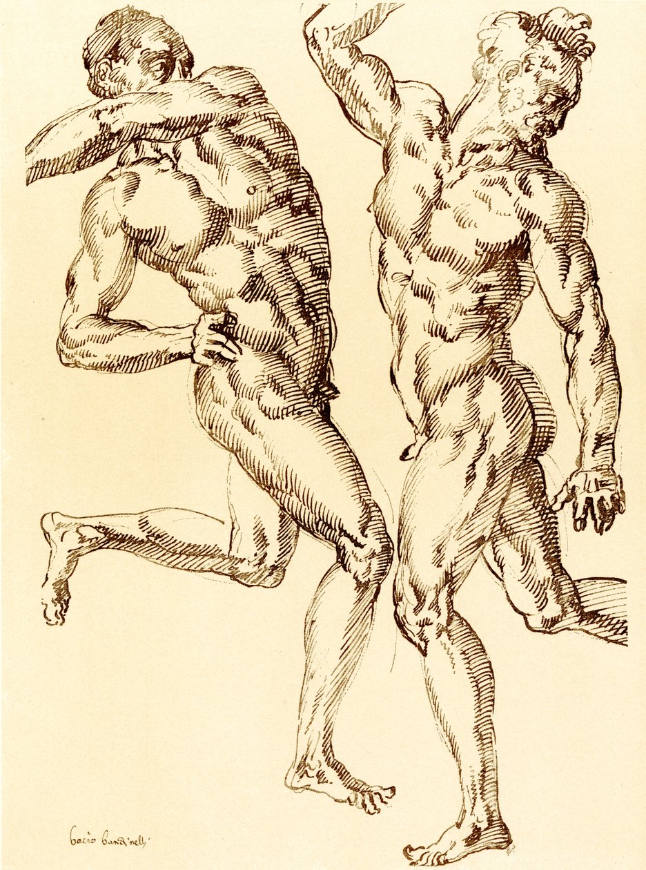 Twee mannelijke naaktstudies door Baccio Bandinelli