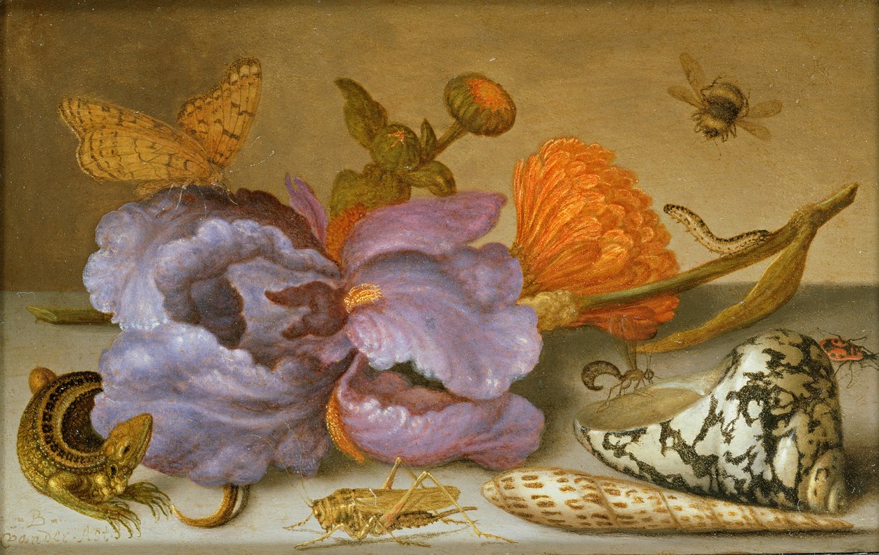 Stilleven met bloemen, schelpen en insecten door Balthasar van der Ast