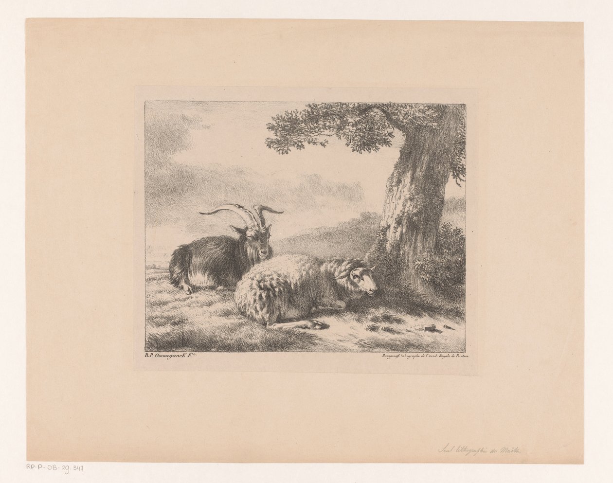 Bok en schaap door Balthasar Paul Ommeganck