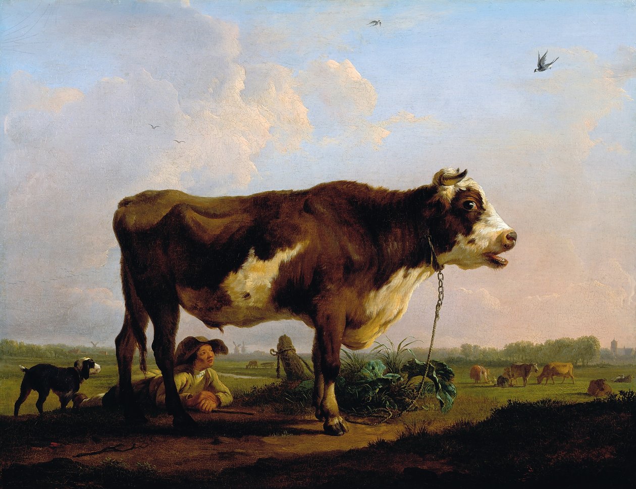 Een stier door Balthasar Paul Ommeganck