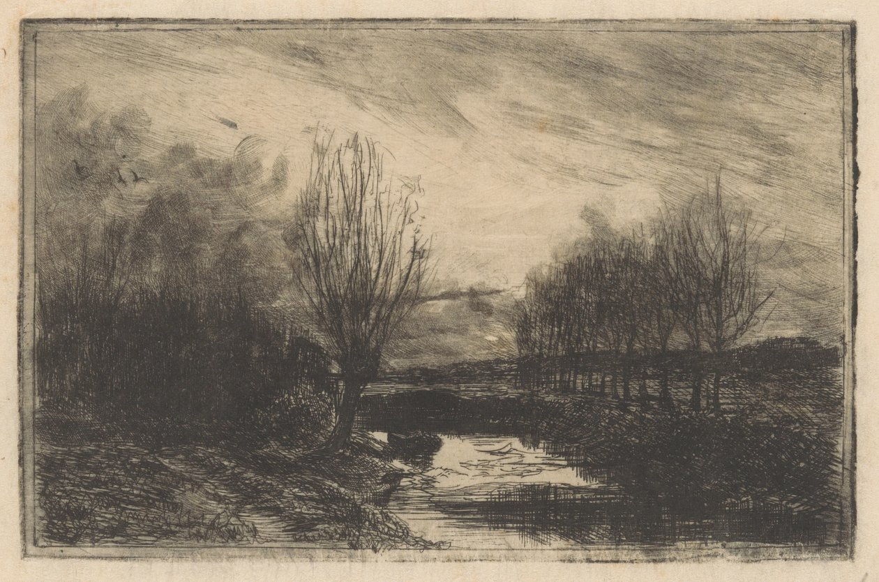 Sloot met knotwilgen door Barbara Elisabeth van Houten