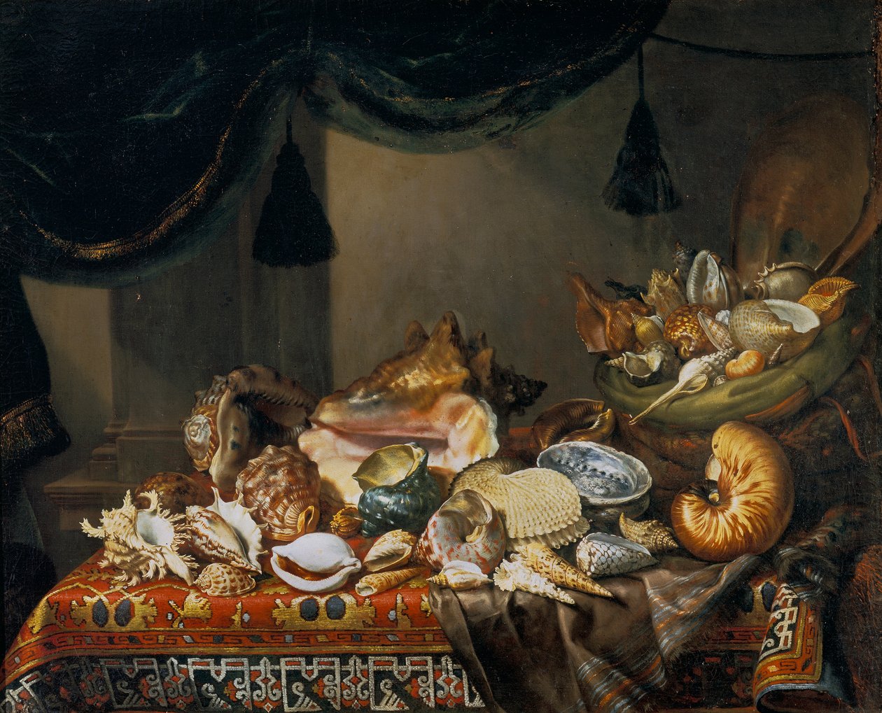Stilleven met schelpen door Bartolomeo Bimbi