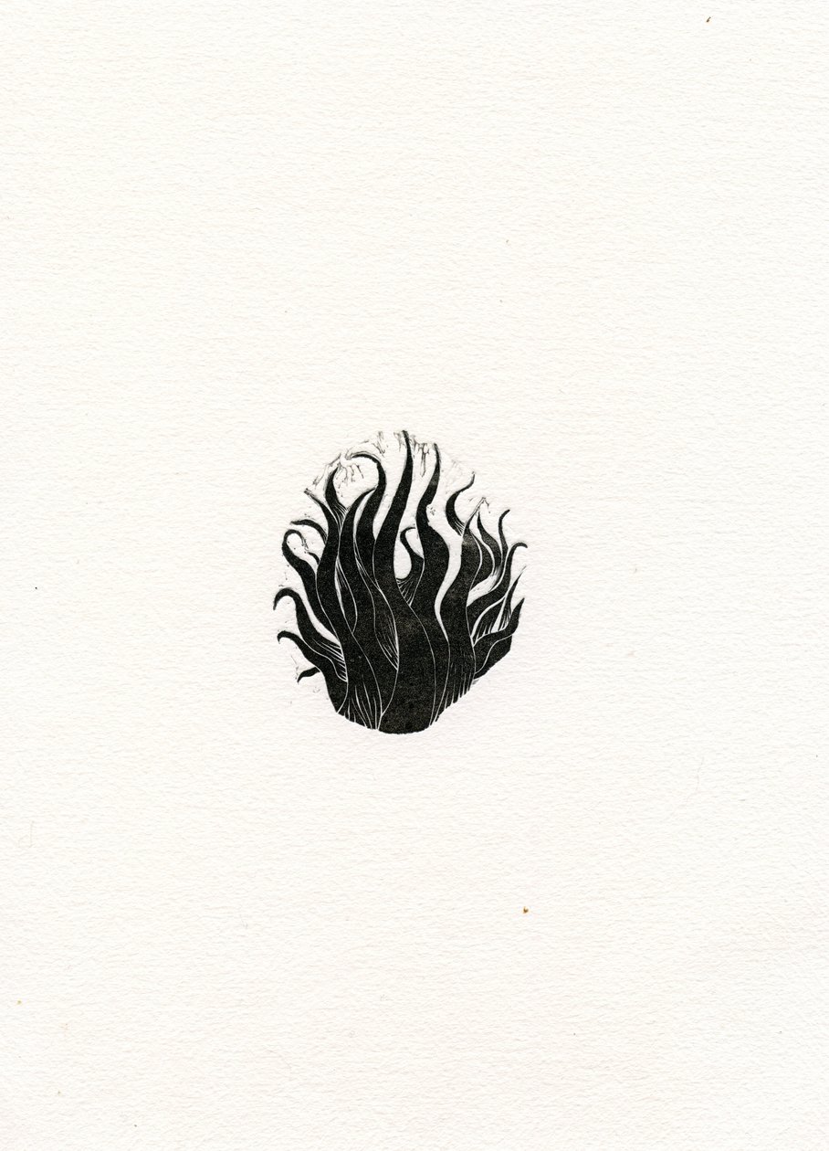 Vuur door Bella Larsson