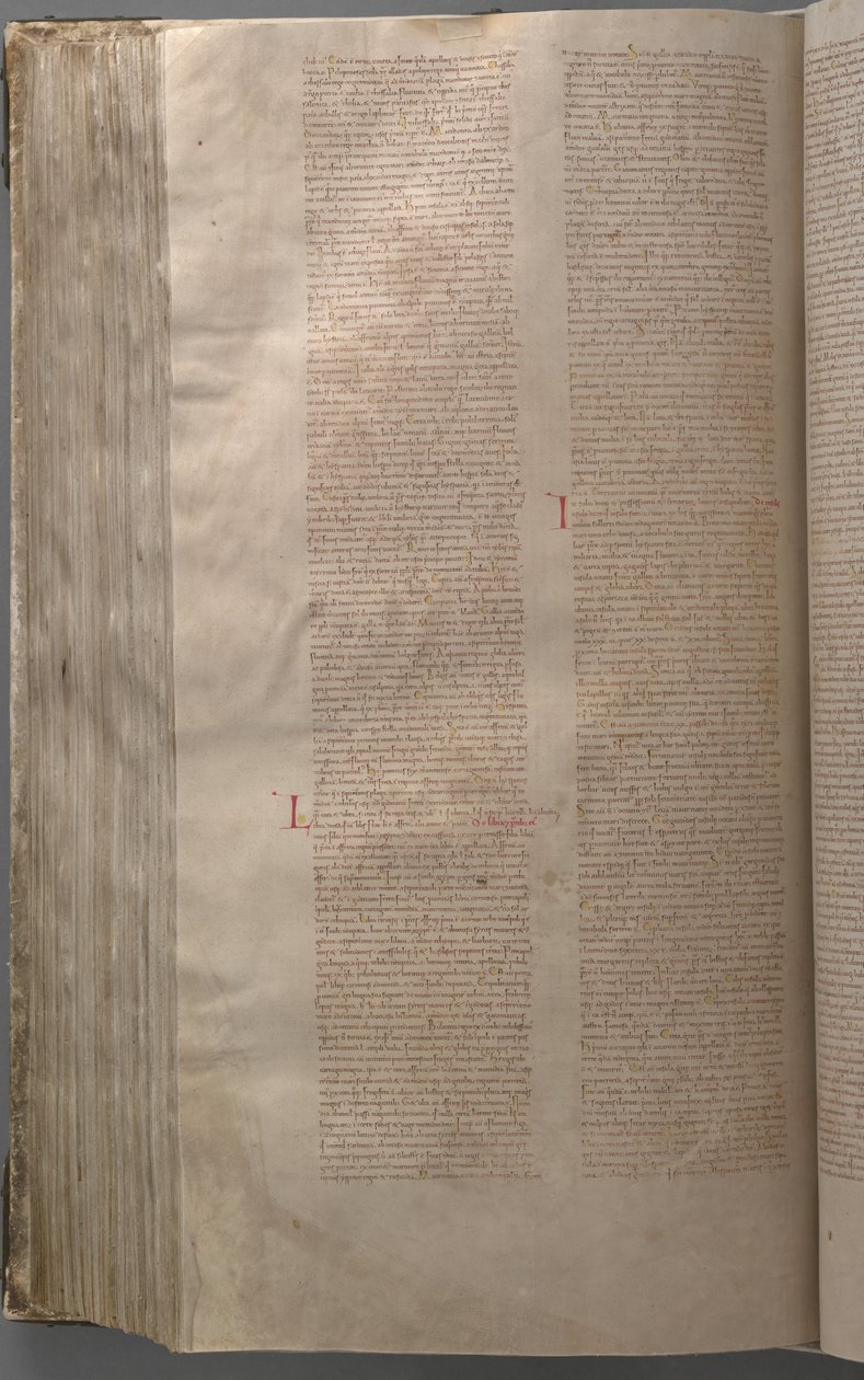 De Codex Gigas door Benedictine monastery of Podlažice