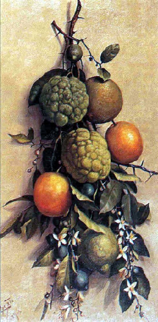 Fruit door Benedito Calixto