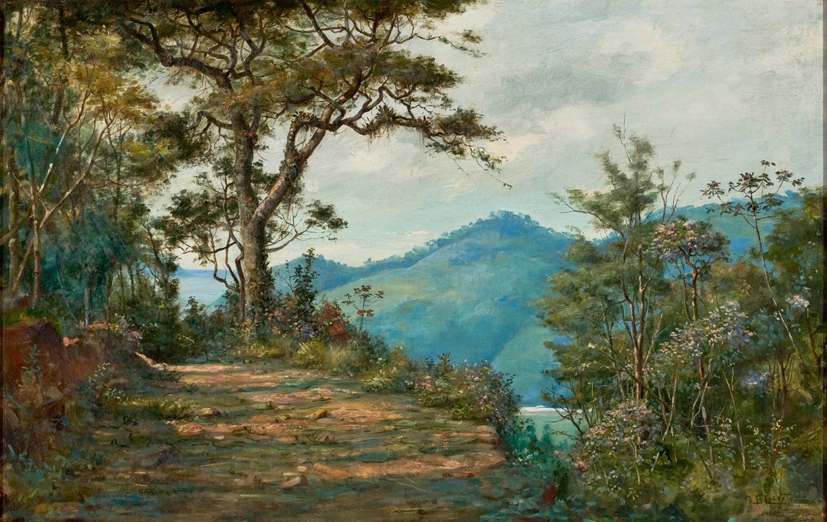 Landschap door Benedito Calixto