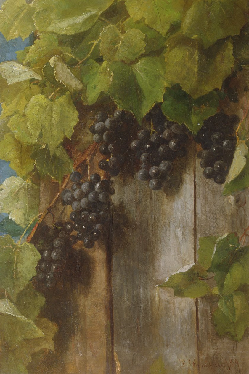 Een vruchtbare wijnstok, 1889 door Benjamin Champney