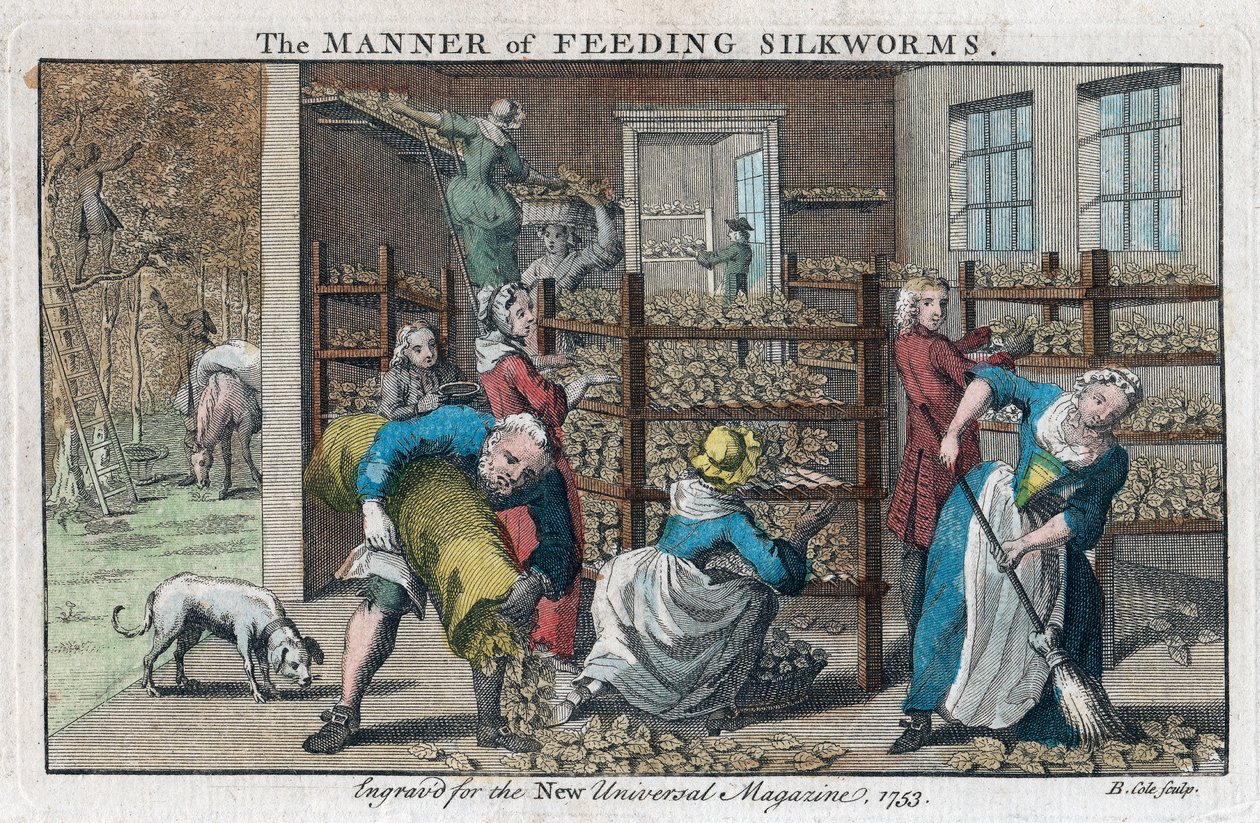 De Manier van Zijderupsen Voeden, 1753 door Benjamin Cole