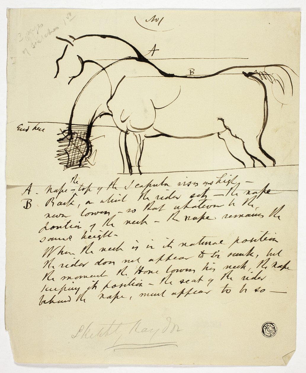 Schets van een paard met notities door Benjamin Robert Haydon