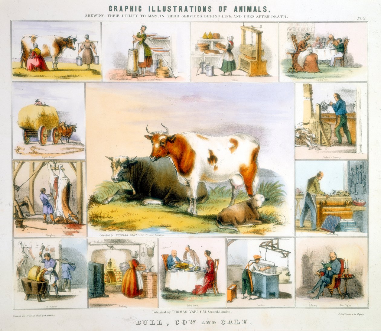 De Koe, c1850 door Benjamin Waterhouse Hawkins