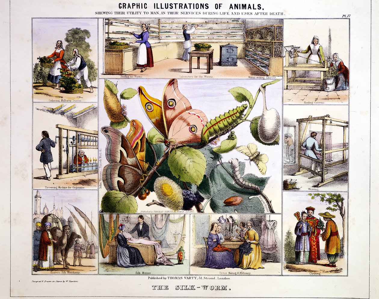 De Zijdeworm, c1850 door Benjamin Waterhouse Hawkins