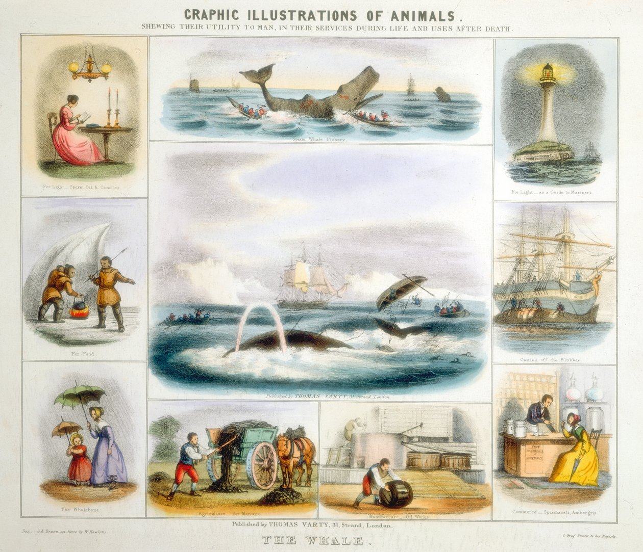 De Walvis, ca. 1850 door Benjamin Waterhouse Hawkins