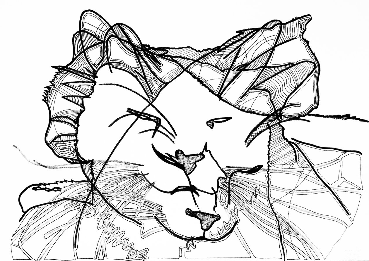 Dubbele kat, 2019 (inkt op papier) door Benoit Erwann Boucherot