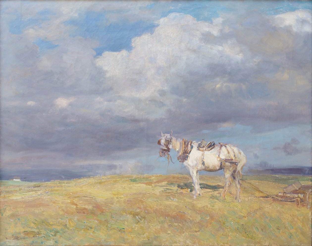 Wit paard, c.1910 door Beppe Ciardi