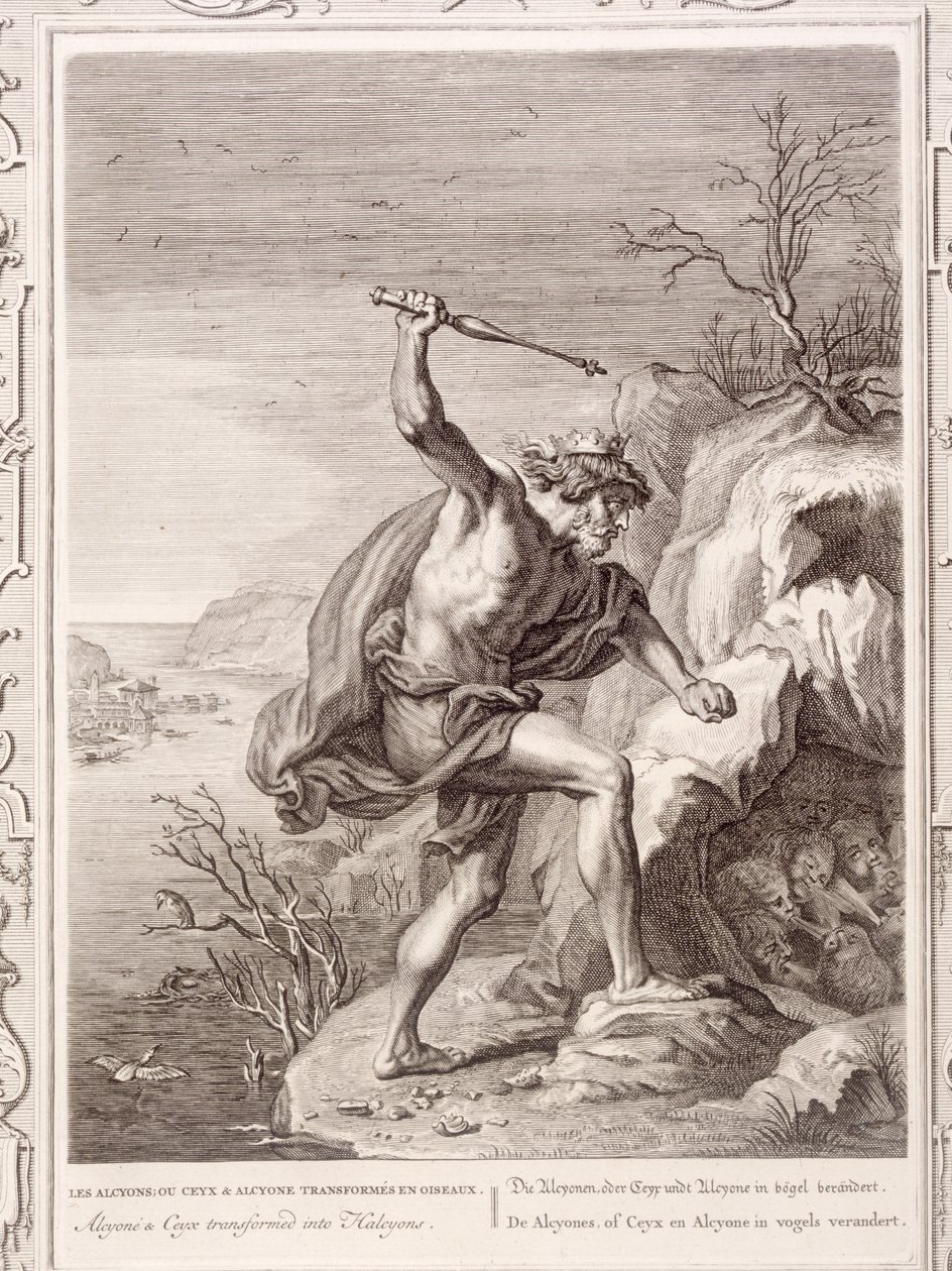 Alcyone en Ceux veranderd in vogels door Bernard Picart