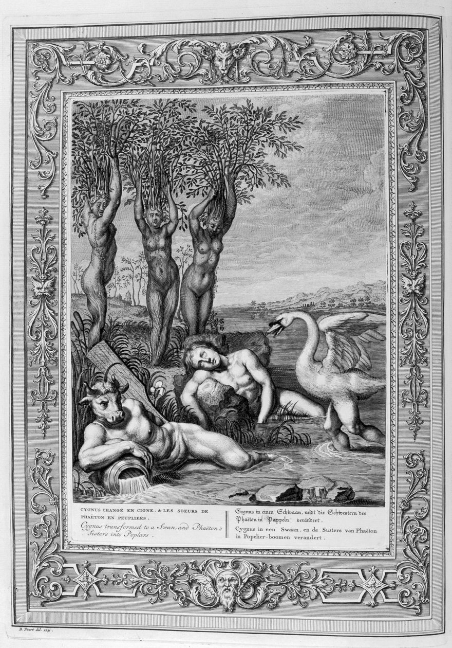 Cygnus verandert in een zwaan (gravure) door Bernard Picart