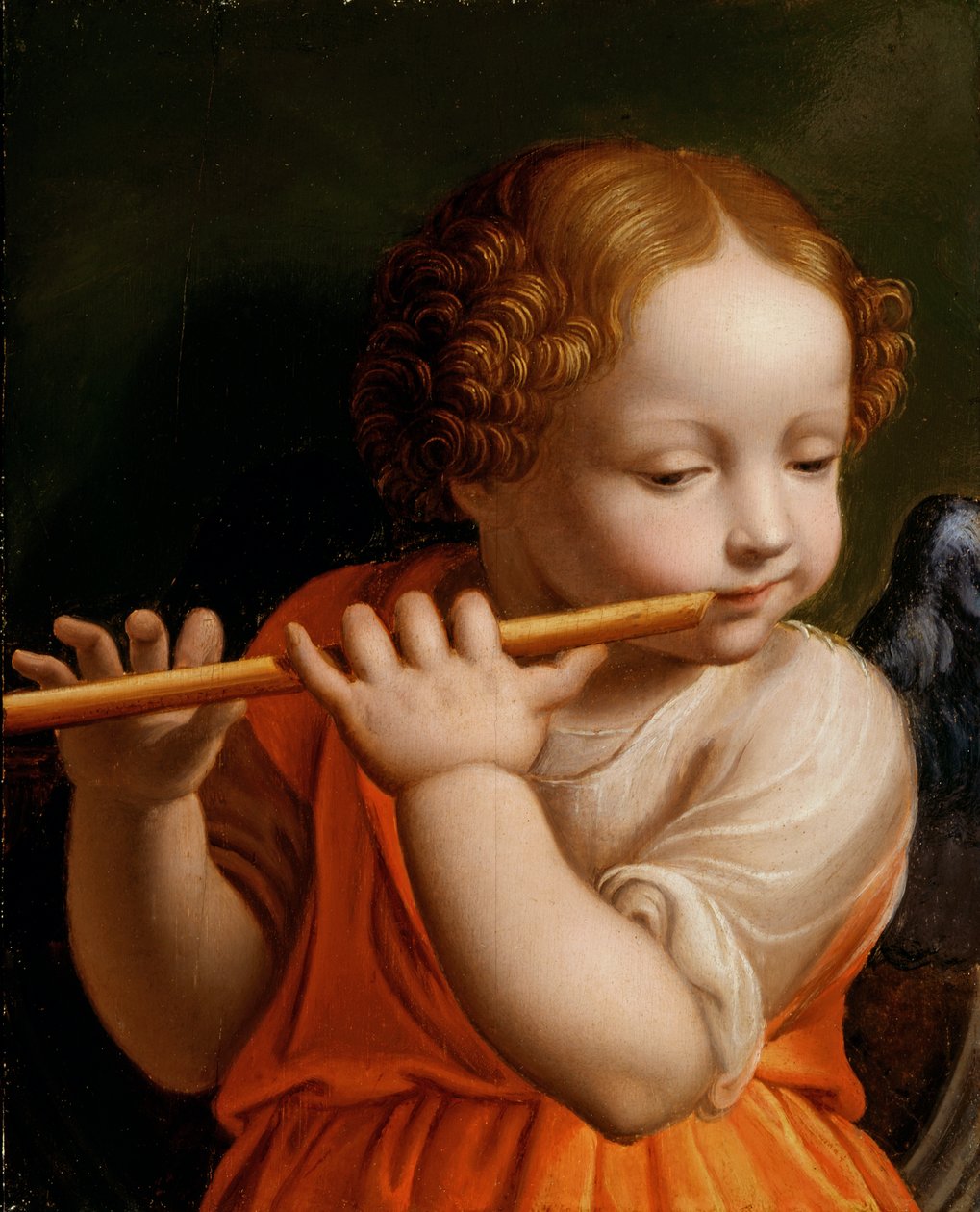 Engelkind dat een fluit speelt, c.1500 door Bernardino Luini