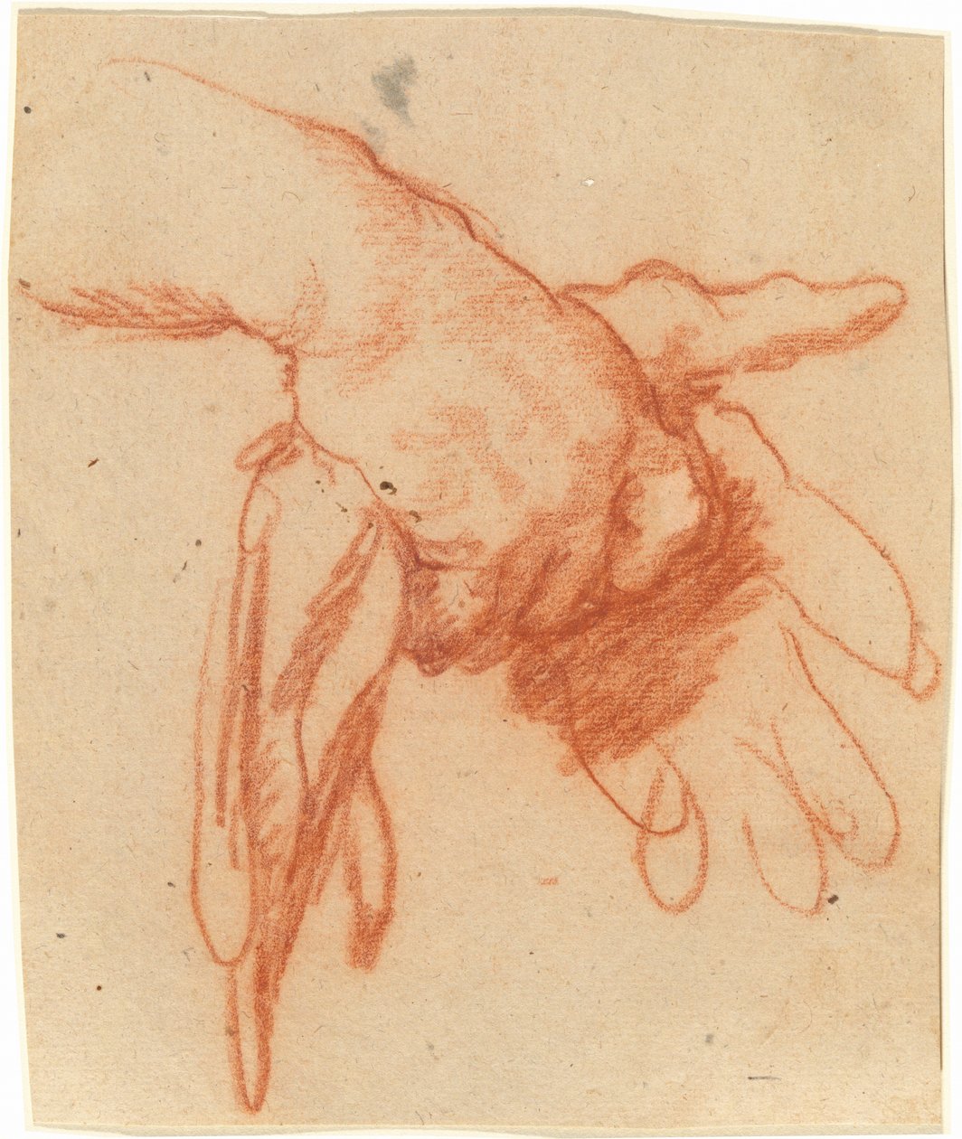 Een Hand die Lege Handschoenen Vasthoudt door Bernardo Strozzi