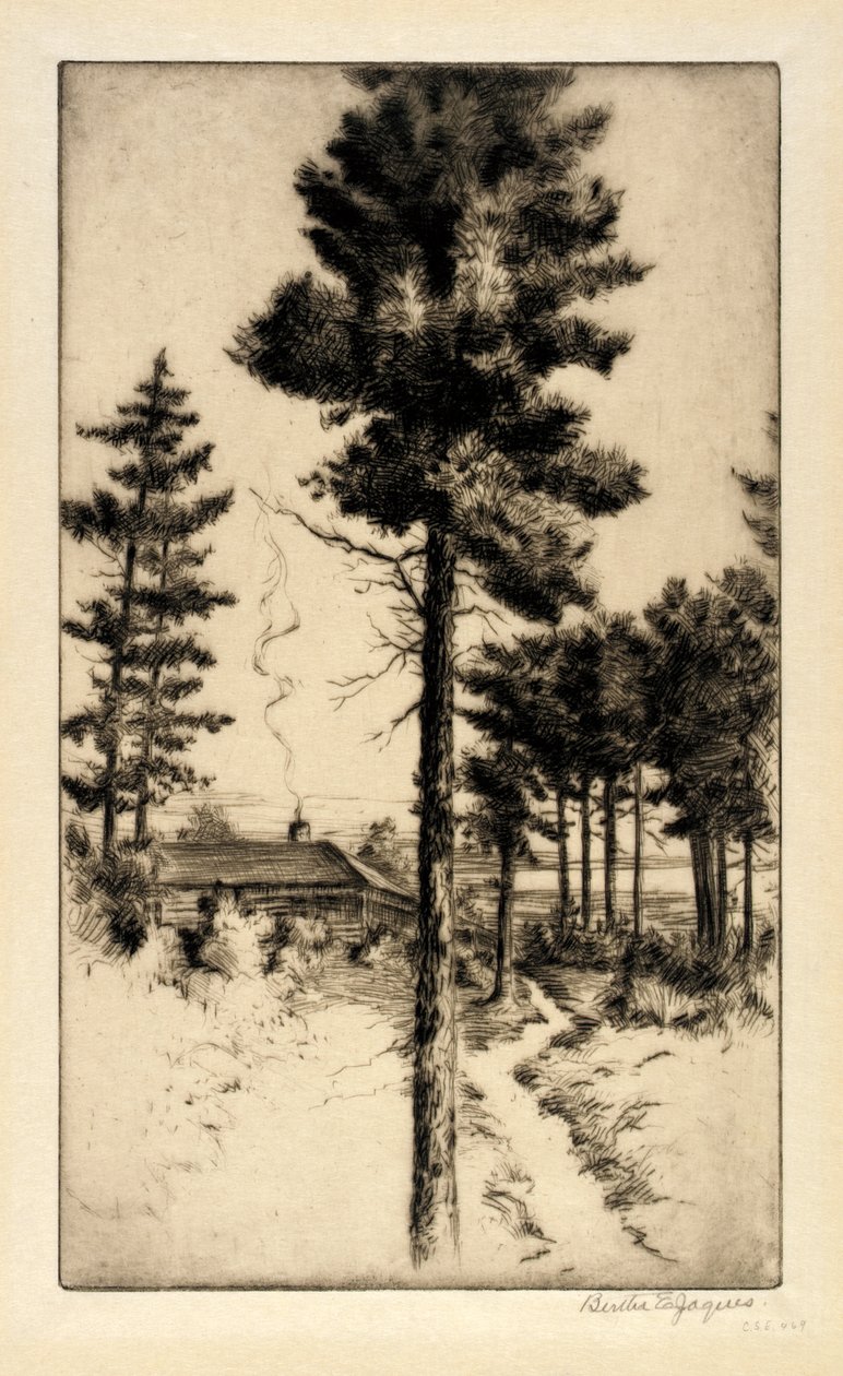 Hut in de wildernis door Bertha E. Jaques