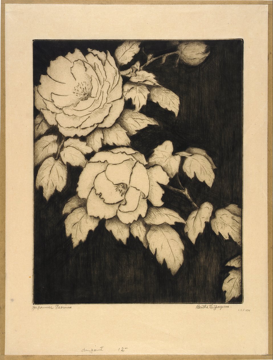 Japanse pioenen door Bertha E. Jaques