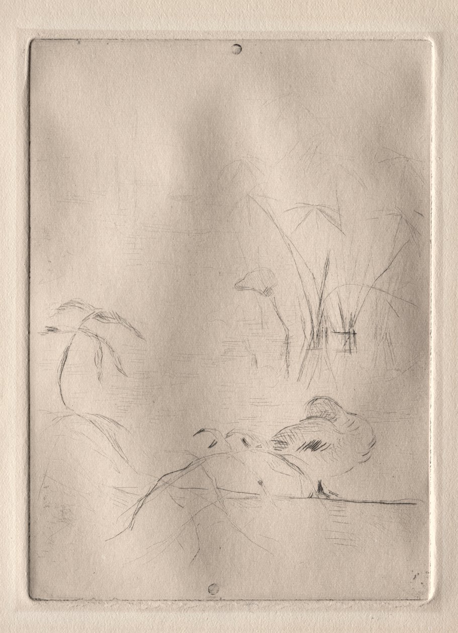 De Eend door Berthe Morisot