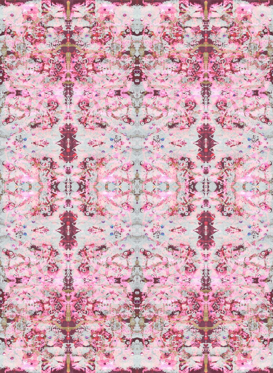 Burgandy Rose, 2015 (gemengde techniek, illustratie, digitaal) door Beth Travers