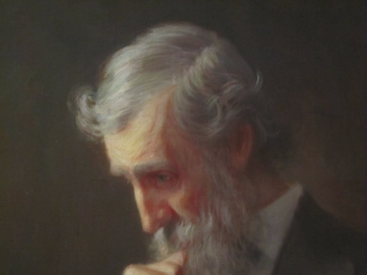 Detail van John Muir (detail) door Billy Hathorn