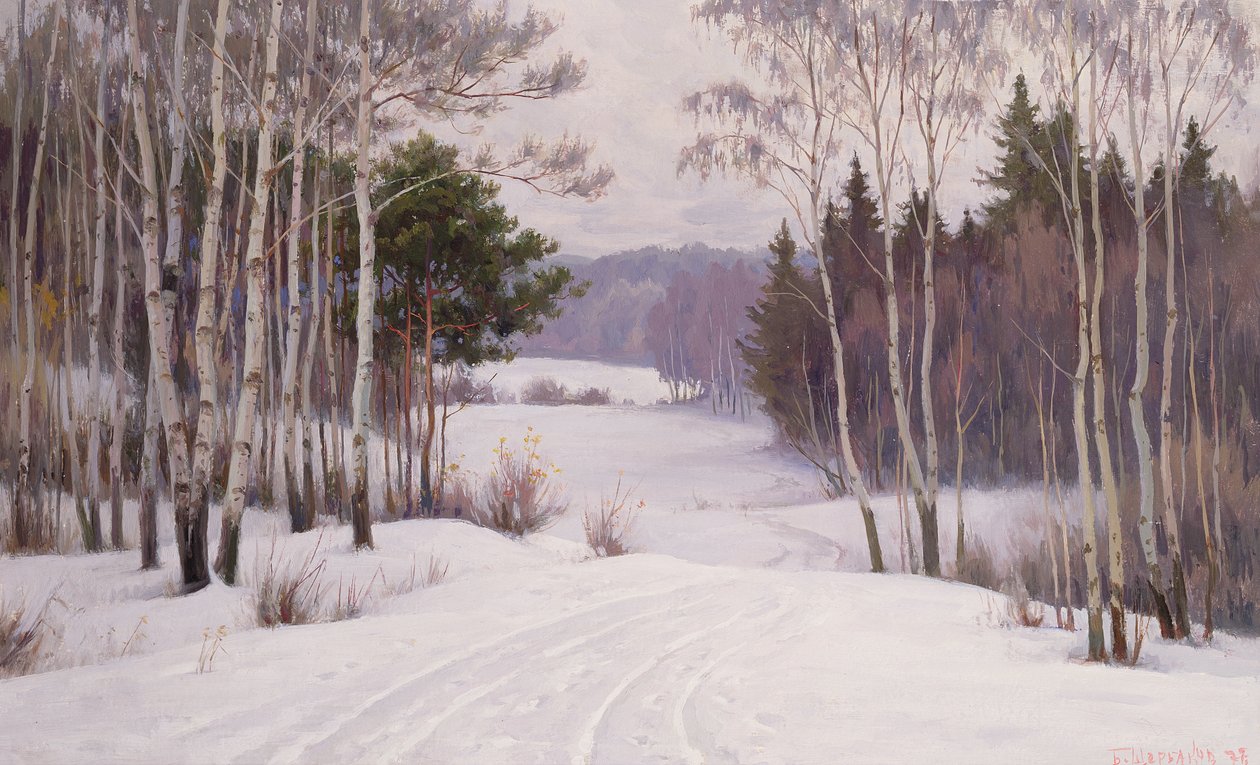 Bosweg in de winter door Boris Walentinowitsch Scherkow