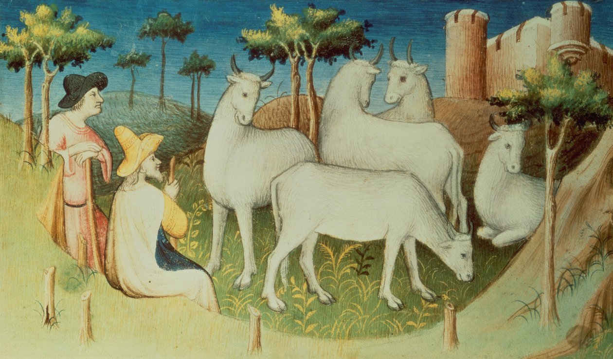 Ms Fr 2810 f.13v, Marco Polo op zijn reizen, uit het 