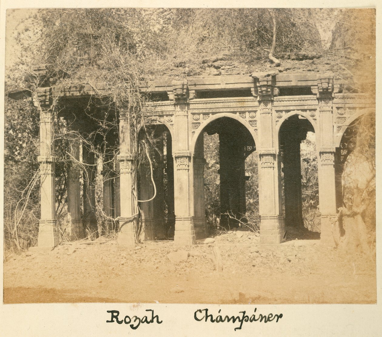 Rozah, Champaner, c.1875 door British Photographer