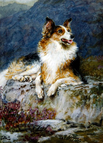 Collie in een landschap door Briton Riviere