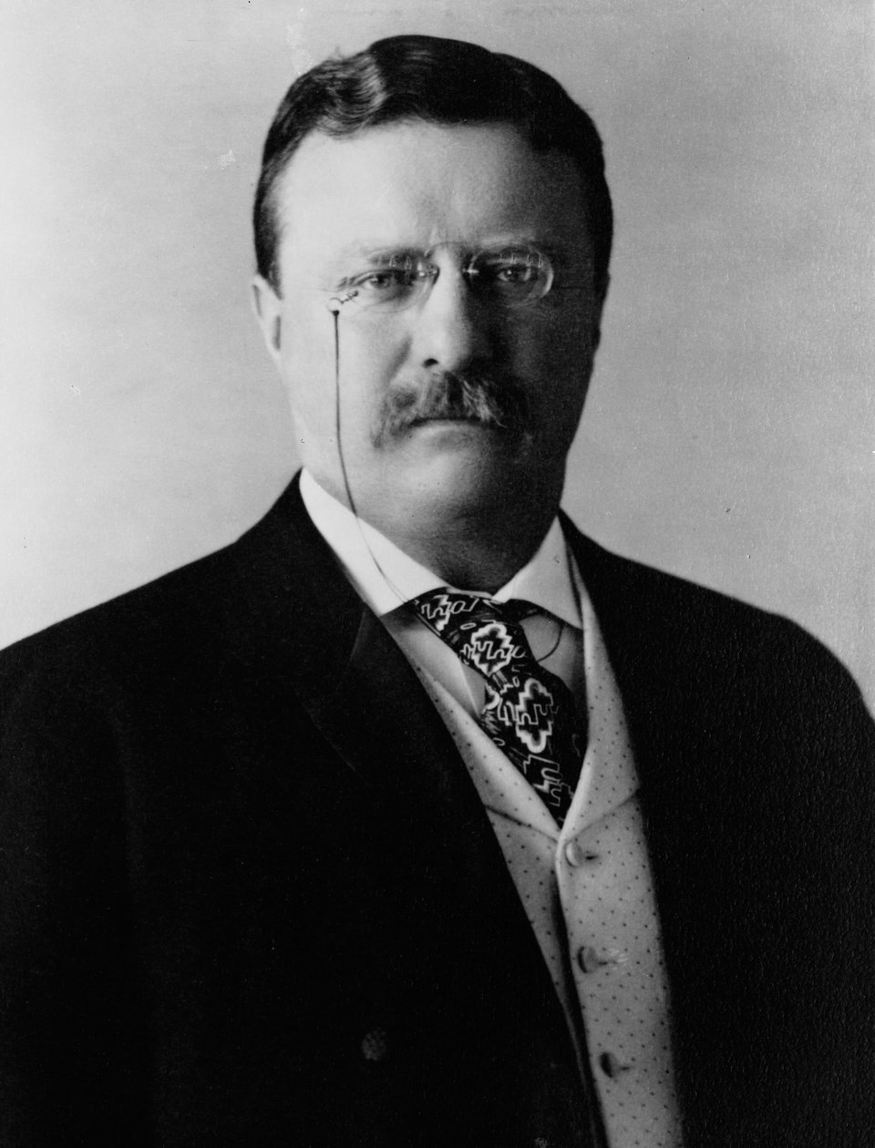 Theodore Roosevelt, ca. 1904 door Brothers Pach