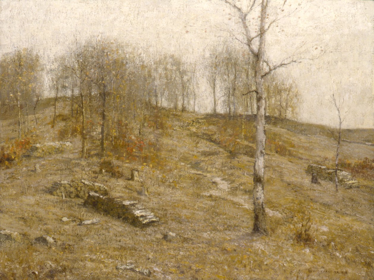 December Hooglanden door Bruce Crane