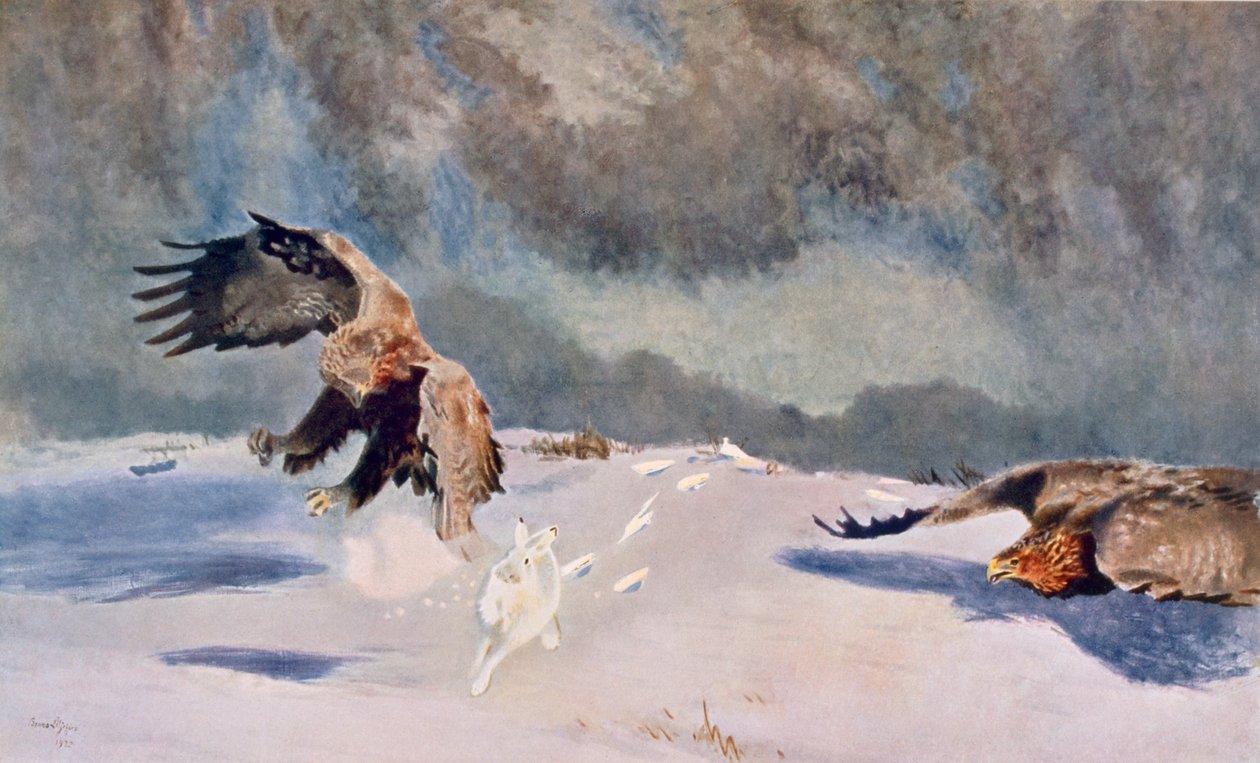 Adelaars en Konijn, 1922 door Bruno Andreas Liljefors