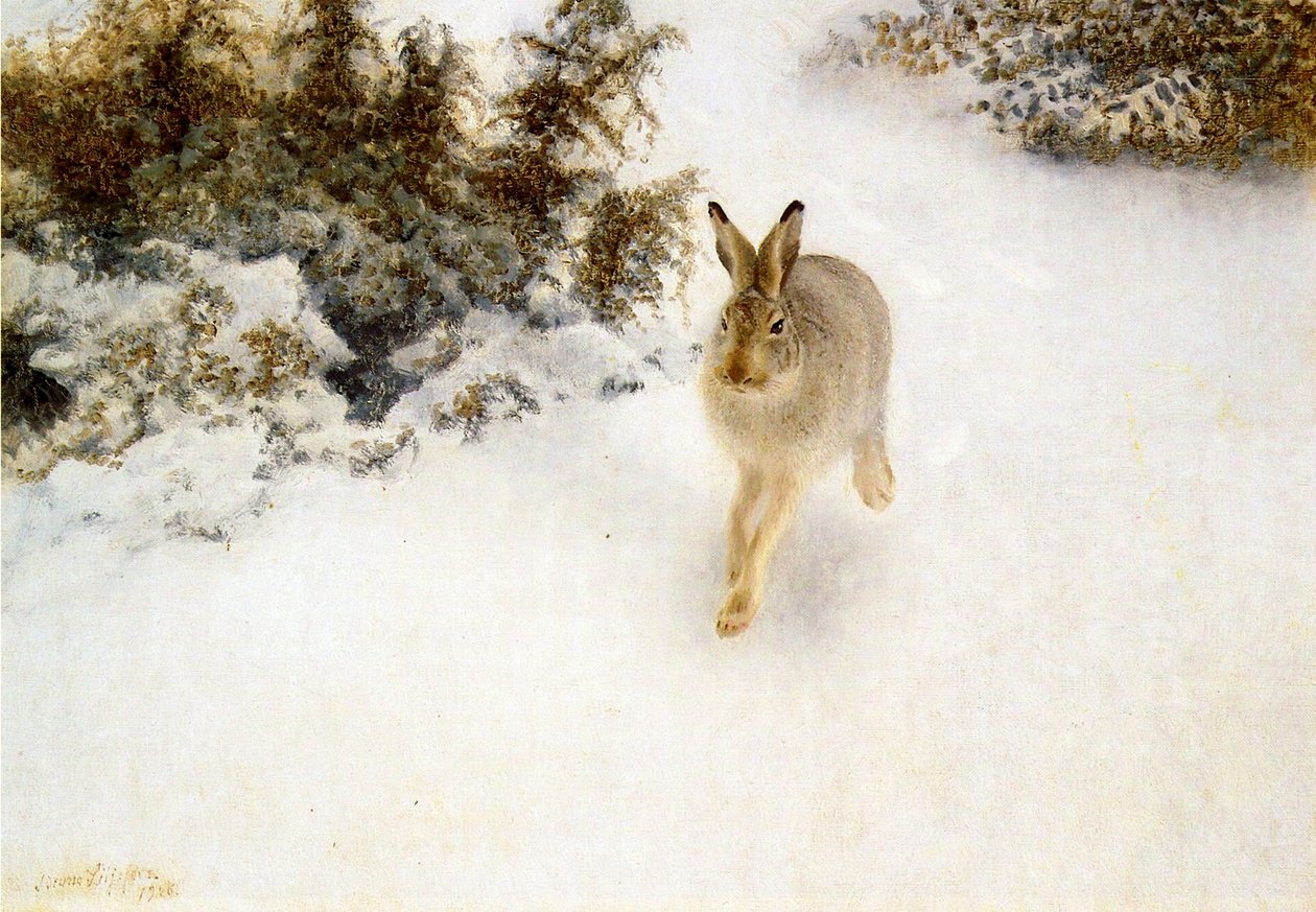 Winterhaas door Bruno Andreas Liljefors