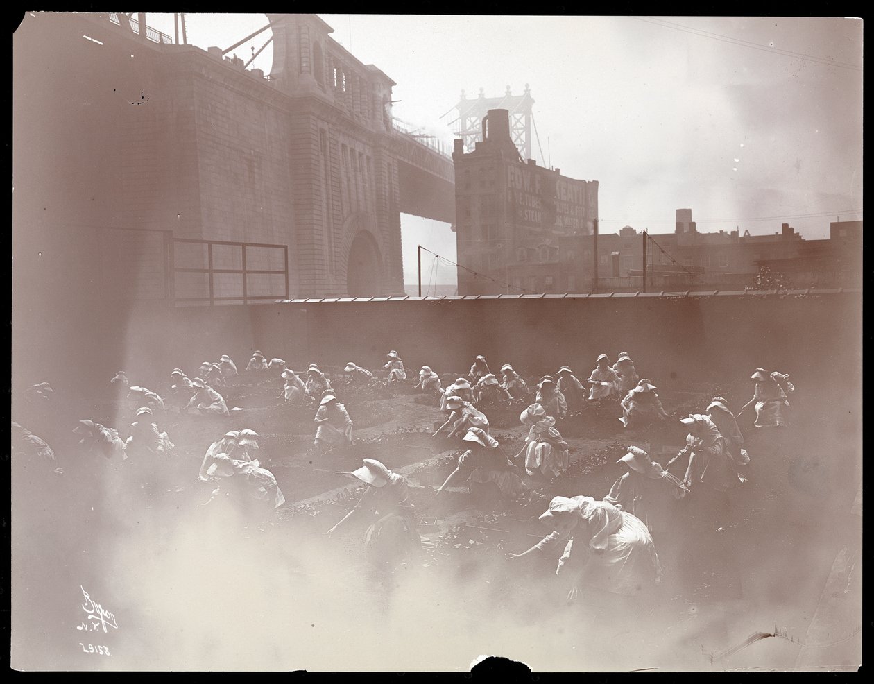 Meisjes werken aan een groentetuin op het dak, Manhattan Bridge zichtbaar op de achtergrond, New York, 1910 door Byron Company